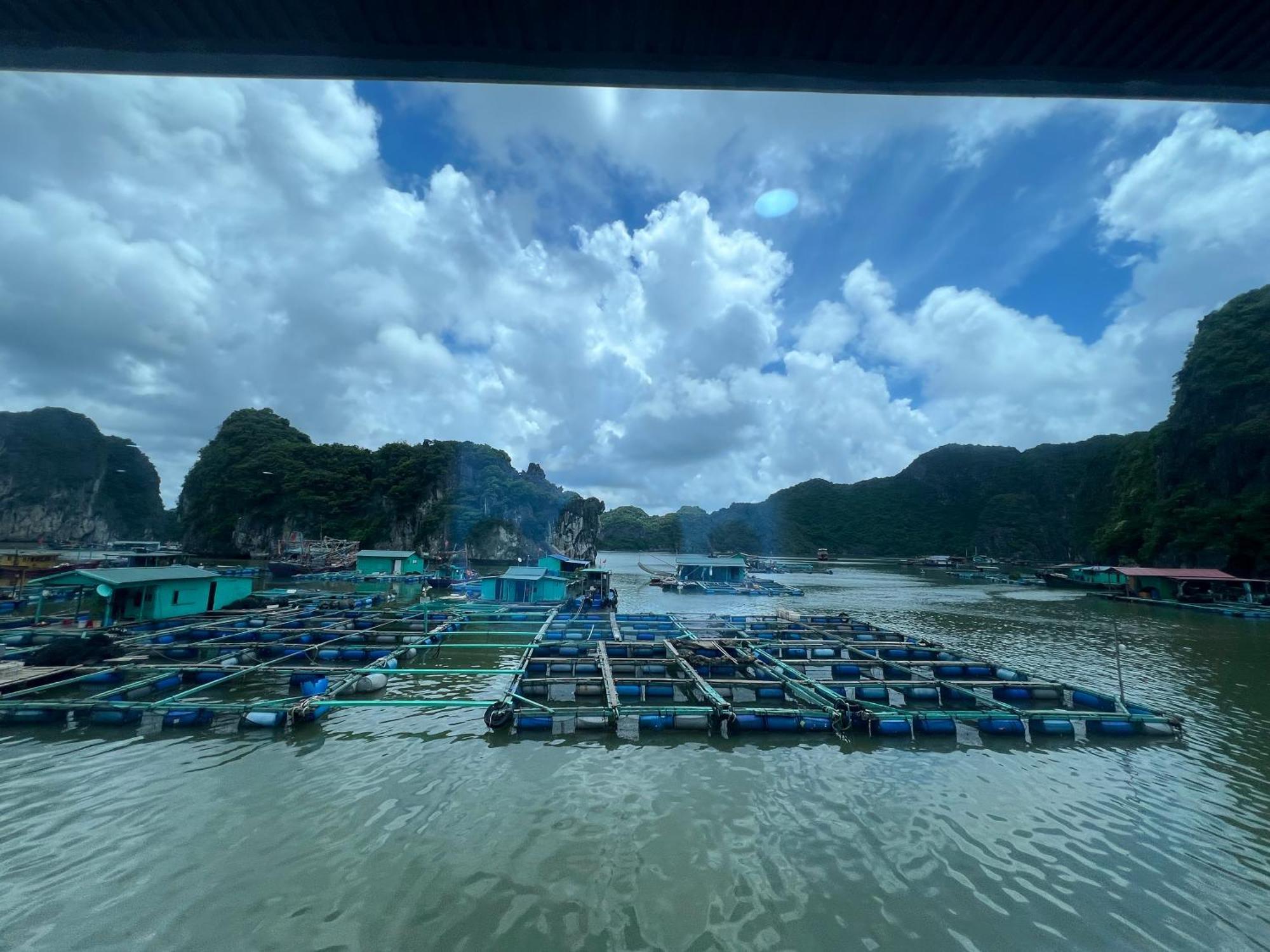 Mb Central Hotel Cat Ba Island Exterior photo