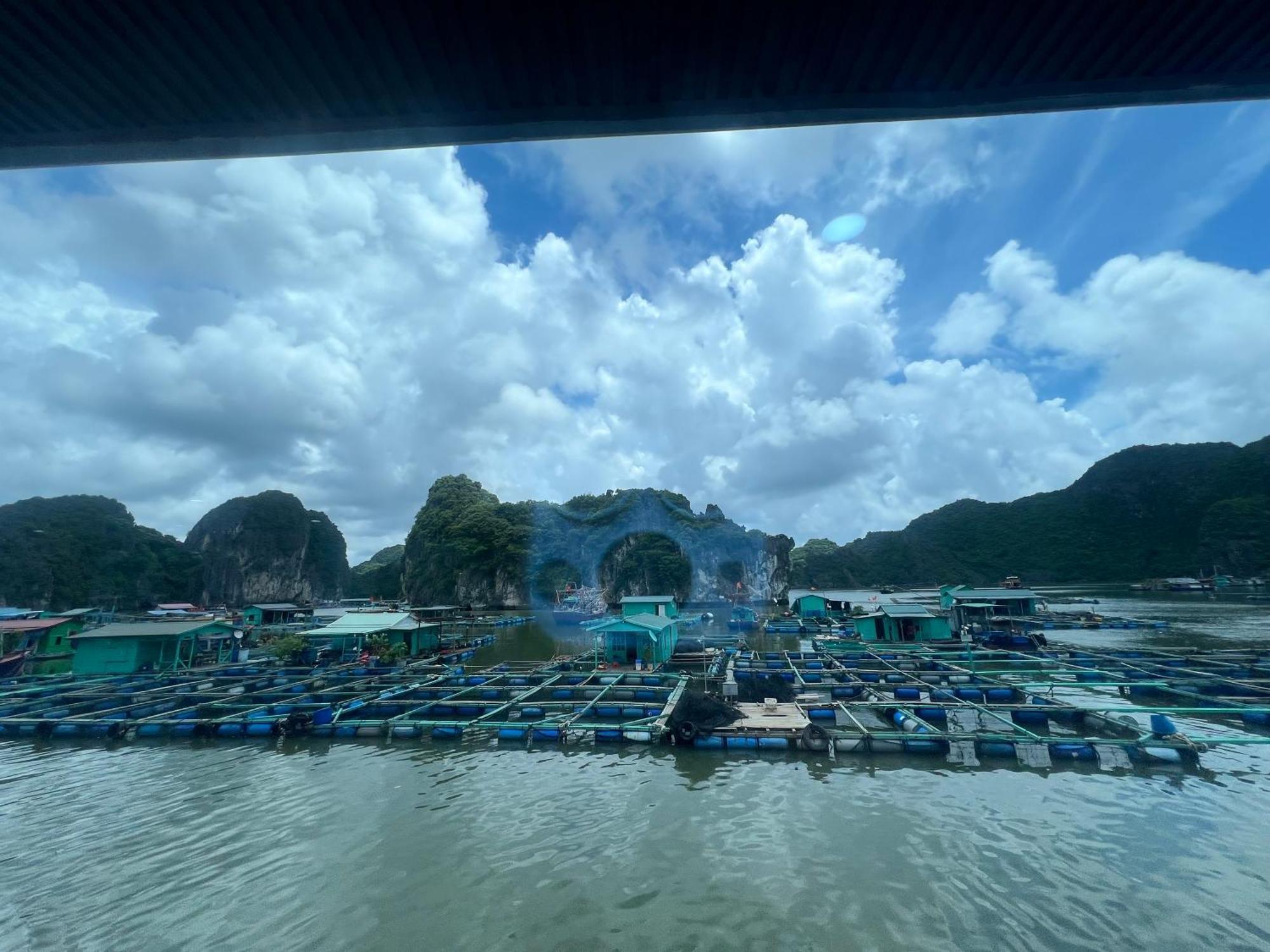 Mb Central Hotel Cat Ba Island Exterior photo
